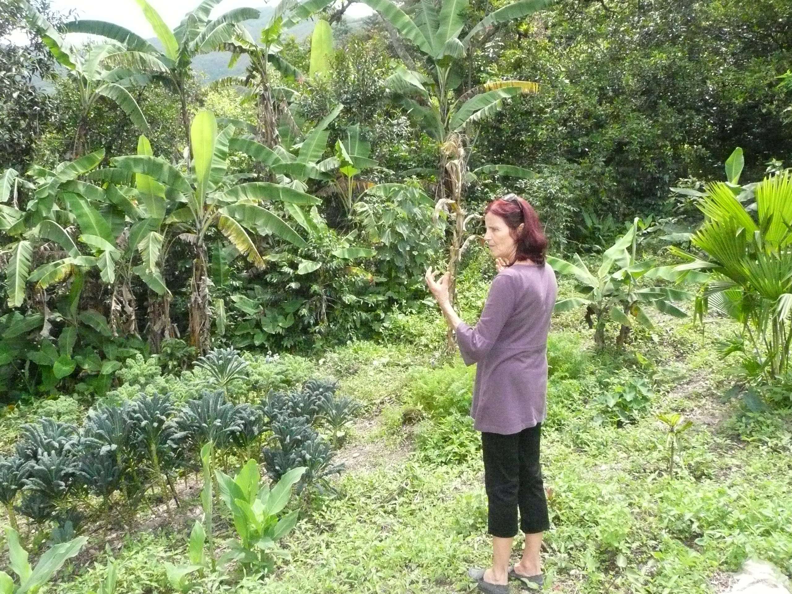 Anasha in our garden in Vilcabamba, Ecuador... organic greens all around